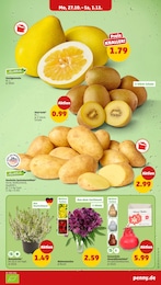 Kartoffeln Angebot & Preis im aktuellen Penny Prospekt Kartoffeln Angebot im aktuellen Penny Prospekt auf Seite 5