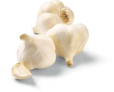 Netto Marken-Discount - Knoblauch Angebot im Prospekt Knoblauch bei Netto Marken-Discount im Prospekt "" für 1,29 €