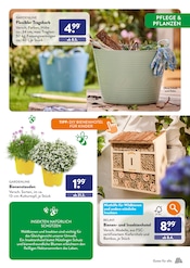Ähnliche Angebote wie Gartenzwerg im Prospekt "ENDLICH WIEDER GARTENZEIT." auf Seite 33 von ALDI SÜD in Mönchengladbach
