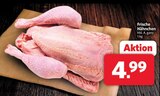 Frische Hähnchen bei Markant Nordwest im Holtland Prospekt für 4,99 €