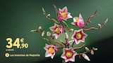 Les branches de Magnolia - LEGO BOTANICALS - Intermarché Hyper Les branches de Magnolia - LEGO BOTANICALS à 34,90 € dans le catalogue Intermarché Hyper
