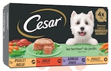 Barquettes chien les terrines du jardin - CESAR dans le catalogue Intermarché