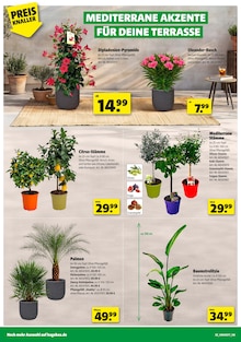 Blumentopf im Hagebaumarkt Prospekt "FREU DICH AUF DRAUSSEN" mit 12 Seiten (Karlsruhe)