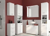 Hängeschrank im Angebot bei Sconto SB in Greifswald Hängeschrank Angebote bei Sconto SB Greifswald für 49,95 €