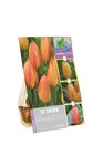 Bulbes mix coloris variés en promo chez Lidl Brest à 1,70 €