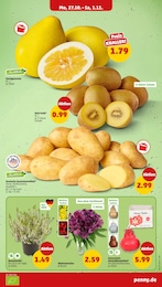 Pflanzen Angebot & Preis im aktuellen Penny Prospekt Pflanzen Angebot im aktuellen Penny Prospekt auf Seite 5