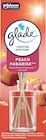 Raumduft Peach Paradise bei dm-drogerie markt im Prospekt "" für 3,95 €