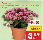 Aktuelles Pernettya Angebot bei Netto Marken-Discount in Bremen ab 3,49 €