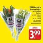 Premium Tulpen im Angebot bei EDEKA in Hof Premium Tulpen Angebote von EDEKA Herzstücke bei EDEKA Hof für 3,99 €