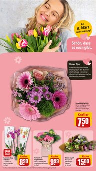 Hortensie im REWE Prospekt "Dein Markt" mit 30 Seiten (Halle (Saale))