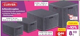 Aufbewahrungsbox Angebote von Curver bei Netto Marken-Discount Bornheim für 8,99 €