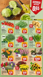 Aktueller REWE Prospekt mit Tomaten, "Dein Markt", Seite 9