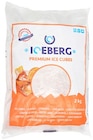 Aktuelles Eiswürfel Angebot bei REWE in Augsburg ab 2,49 €