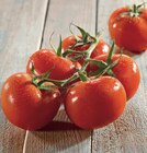 Tomate ronde en grappe dans le catalogue Cora