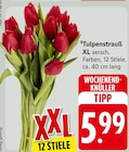 Tulpenstrauß XL Angebote bei EDEKA Offenburg für 5,99 €