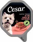 Hundenahrung Angebote von Cesar bei V-Markt München für 0,69 €