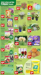 Dünger Angebot im aktuellen Thomas Philipps Prospekt auf Seite 2