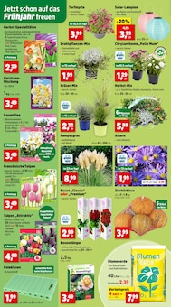 Gartenmöbel im Thomas Philipps Prospekt "Top Angebote" mit 11 Seiten (Siegen (Universitätsstadt))