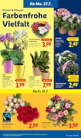 Dekoration im Lidl Prospekt in Willich Aktueller Lidl Prospekt mit Dekoration, "LIDL LOHNT SICH", Seite 7