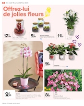Promos Anthurium dans le catalogue "La fête des mères, reines d'un jour" de Carrefour à la page 6