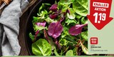 Wildkräuter Salat Angebote von REWE Beste Wahl bei REWE Darmstadt für 1,19 €
