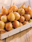 Intermarché Super Bordeaux - Promo Oignon jaune Promo Oignon jaune à 2,69 € dans le catalogue Intermarché Super à Bordeaux