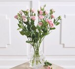 Super U - 3 LYSIANTHUS : offre du catalogue Promo 3 LYSIANTHUS à 9,80 € dans le catalogue Super U "Commerçants autrement"