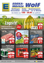 EDEKA Prospekt: Aktuelle Angebote, 24 Seiten, 24.03.2025 - 29.03.2025