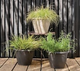 Pot Naxos 5.5 L en promo chez U Express Pot Naxos 5.5 L dans le catalogue U Express