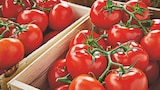 Tomate Ronde en Grappe en promo chez Netto Tomate Ronde en Grappe dans le catalogue Netto