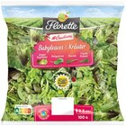 Salat Babyleaves & Kräuter oder Salat Fein & Pikant im Angebot bei REWE in Fürth Salat Babyleaves & Kräuter oder Salat Fein & Pikant Angebote von Florette bei REWE Fürth für 1,79 €