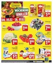 Katzenfutter im EDEKA Prospekt in Regensburg Aktueller EDEKA Prospekt mit Katzenfutter, "Wir lieben Lebensmittel.", Seite 27