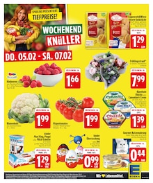 Wecker im EDEKA Prospekt "Wir lieben Lebensmittel." mit 28 Seiten (Regensburg)