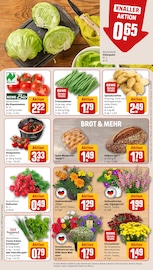 Blumen im REWE Prospekt in Bornheim Aktueller REWE Prospekt mit Blumen, "Dein Markt", Seite 11