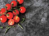 Cherry Rispentomaten Honigschätze im Angebot bei EDEKA in Buchholz Cherry Rispentomaten Honigschätze Angebote bei EDEKA Buchholz für 0,99 €
