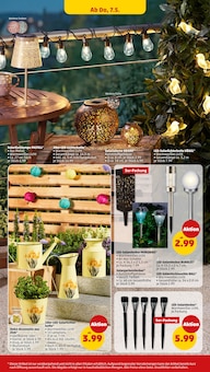 Blumentopf im Penny Prospekt "Wer günstig will, muss Penny." mit 40 Seiten (Essen)