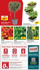 Aktueller toom Baumarkt Prospekt mit Tomaten, "Respekt, wer's selber macht.", Seite 2