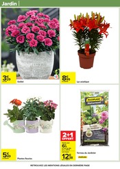 Promos Jardinière dans le catalogue "Carrefour" de Carrefour Jardinière en promo dans le catalogue Carrefour à la page 58