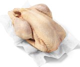Poulet fermier de Loué à Casino Supermarchés dans Gonesse Poulet fermier de Loué à Casino Supermarchés dans Gonesse