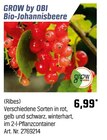 Aktuelles Bio-Johannisbeere Angebot bei OBI in Bremen ab 6,99 €