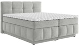 Boxspringbett von CARRYHOME im aktuellen XXXLutz Prospekt