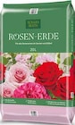 Rosen-Erde im aktuellen Pflanzen Kölle Prospekt