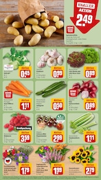 Blumen Angebot & Preis im aktuellen REWE Prospekt Blumen Angebot im aktuellen REWE Prospekt auf Seite 7
