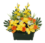 Jardinière orchidées et boutons de roses en promo chez Maxi Bazar Boulogne-Billancourt à 29,99 €