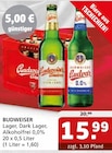 Lager im Angebot bei Getränke Quelle WVG in Magdeburg Lager Angebote von Budweiser bei Getränke Quelle WVG Magdeburg für 15,99 €
