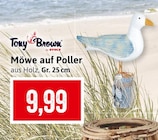 Möwe auf Poller Angebote von Tony Brown by Stolz bei Kaufhaus Stolz Greifswald für 9,99 €