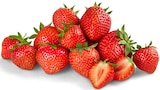 Aktuelles Premium Erdbeeren Angebot bei REWE in Pforzheim ab 2,49 €