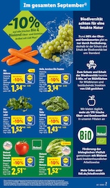 Salat im Lidl Prospekt in Hannover Aktueller Lidl Prospekt mit Salat, "LIDL LOHNT SICH", Seite 3