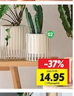 Aktuelles Pflanzgefäß Angebot bei Sconto SB in Rostock ab 14,95 €