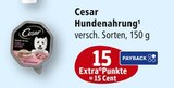 Hundenahrung Angebote von Cesar bei Marktkauf Aschaffenburg